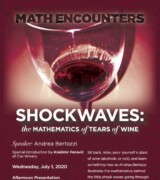 2020 July 1 — “Shockwaves: the Mathematics of Tears of Wine” with Andrea Bertozzi